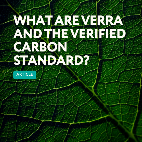 SustainCERT | What are Verra and the Verified Carbon Standard?